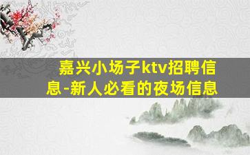 嘉兴小场子ktv招聘信息-新人必看的夜场信息